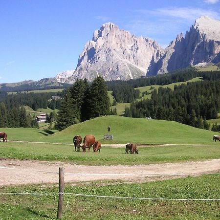 Hotel Flora Selva di Val Gardena Exterior foto