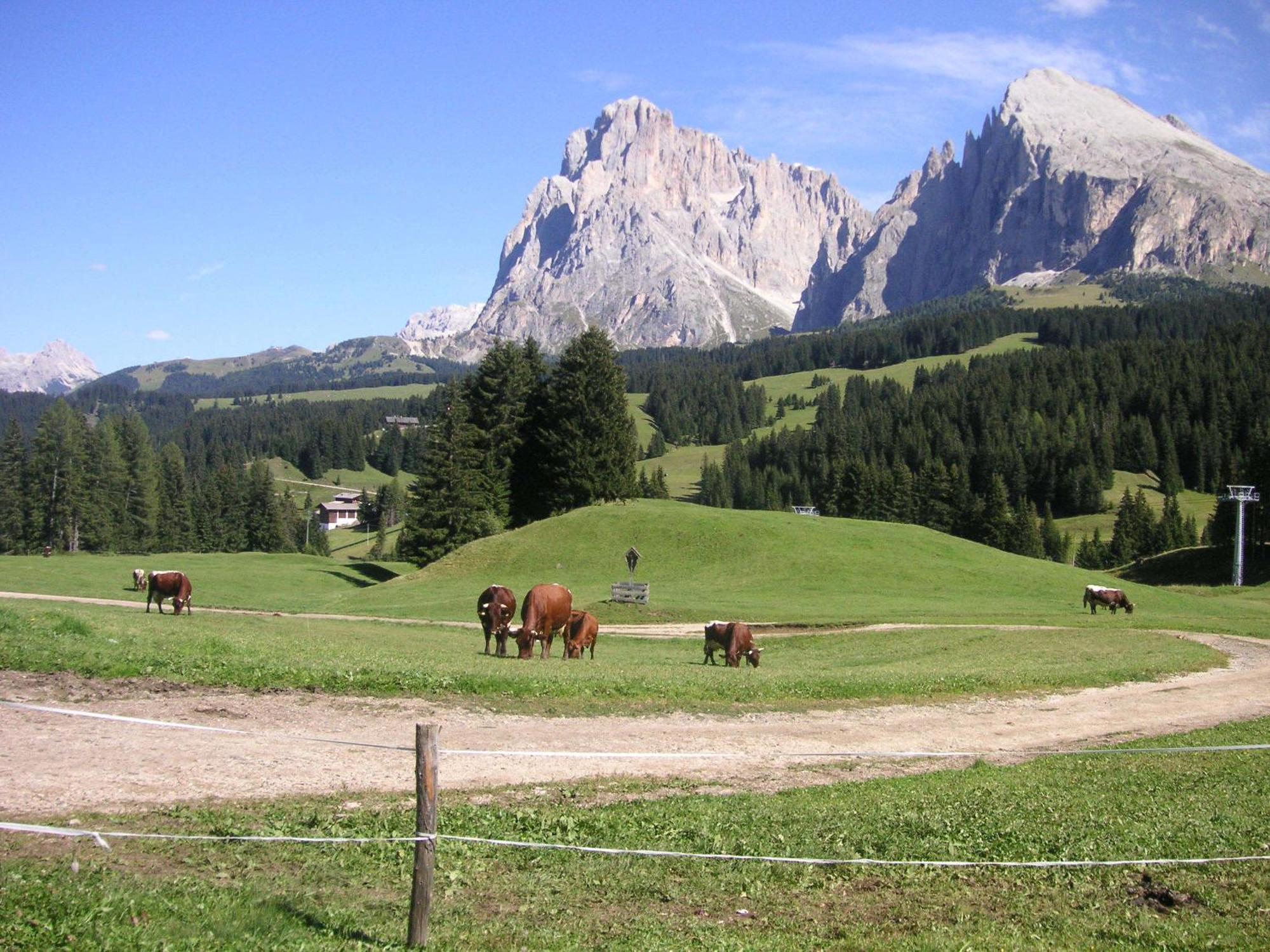 Hotel Flora Selva di Val Gardena Exterior foto